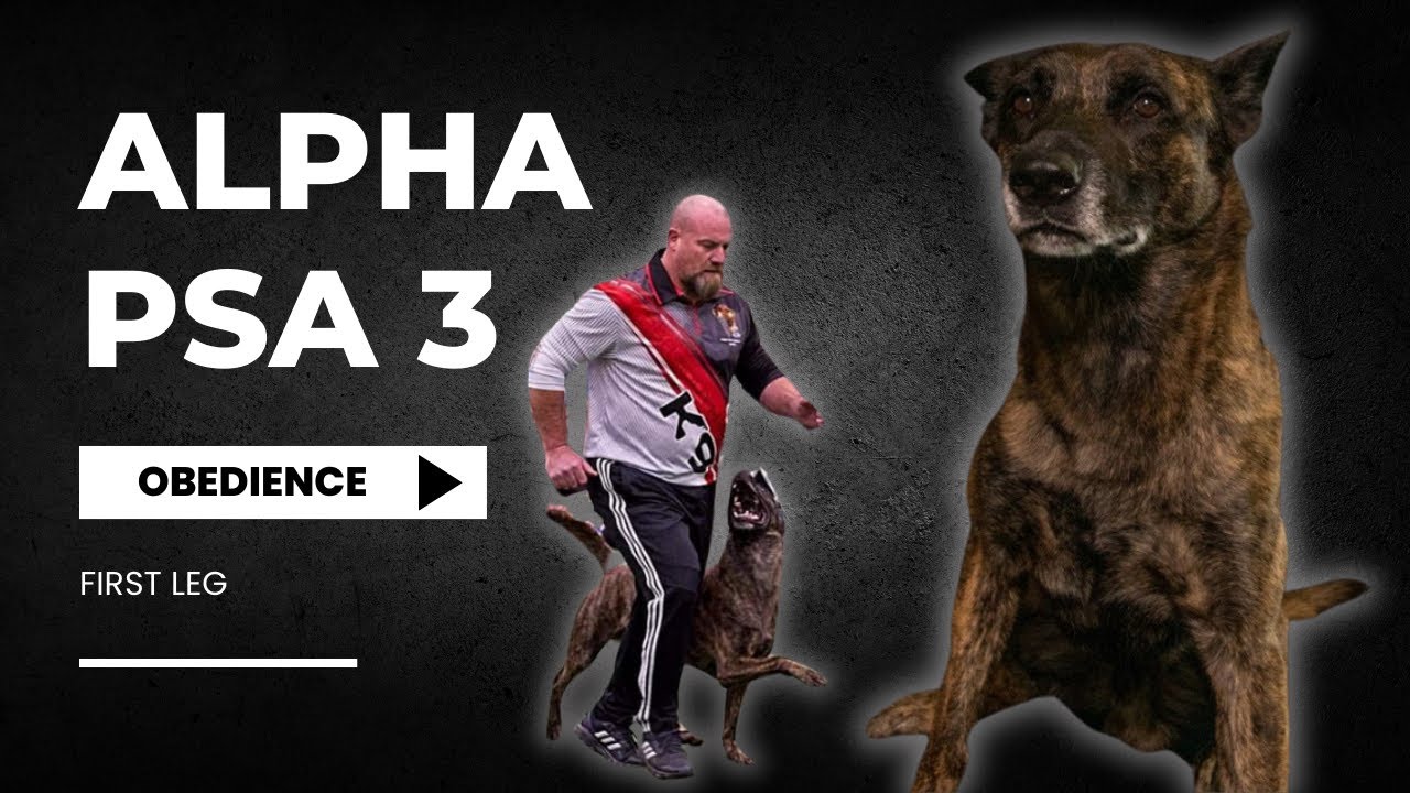 PSA- PSA 3- Alpha Obedience First Leg