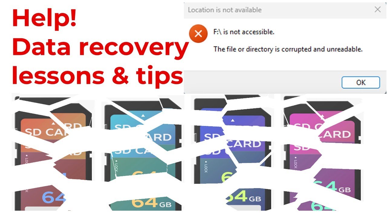 Data recovery lessons & tips for SD cards and disks. Ft. EaseUS - the best software I&rsquo;ve tested.