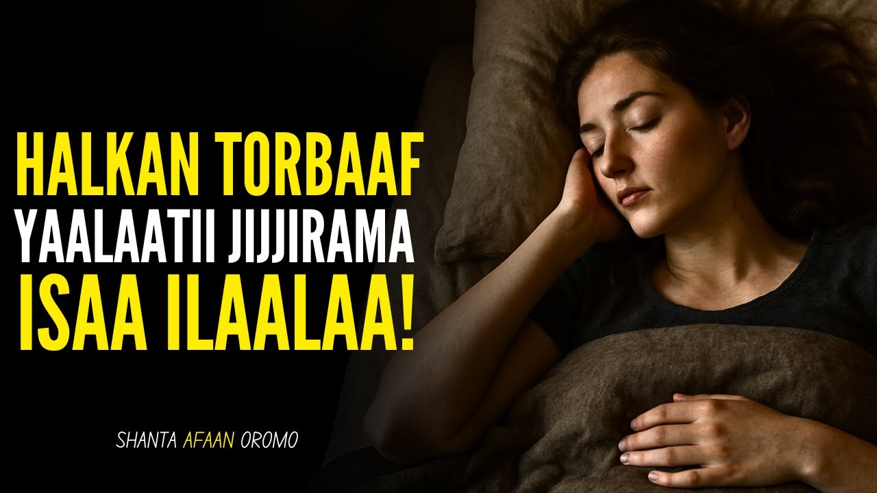 Qalbeefannaa keenya isa dhoktaa hirriba keessa taannee prograam gochuu (Jijjirama Ariifataa)  Shanta