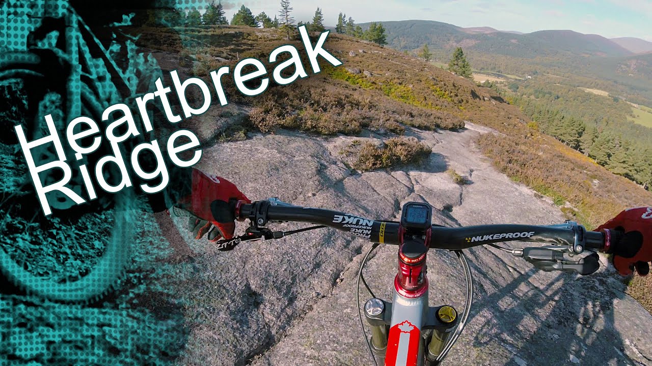 COVID Cruises EP 8 - Take 2 Heartbreak