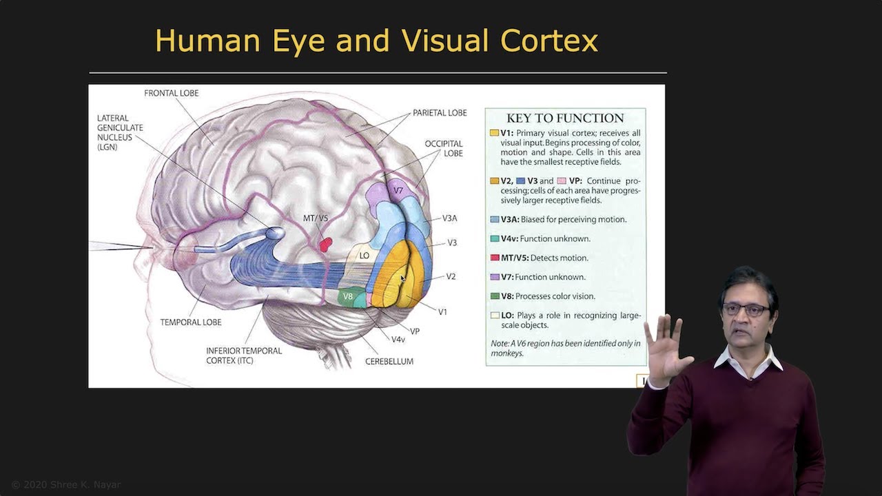 How Do Humans Do It? | Introduction