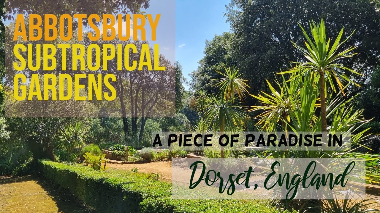 Abbotsbury Subtropical Gardens are the Dorset's hidden gem