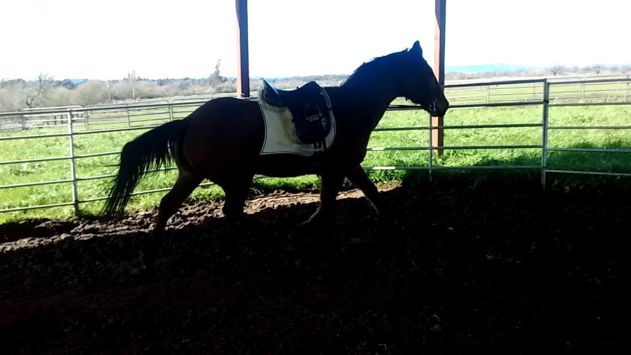 Tchai is being all Cimental because he can