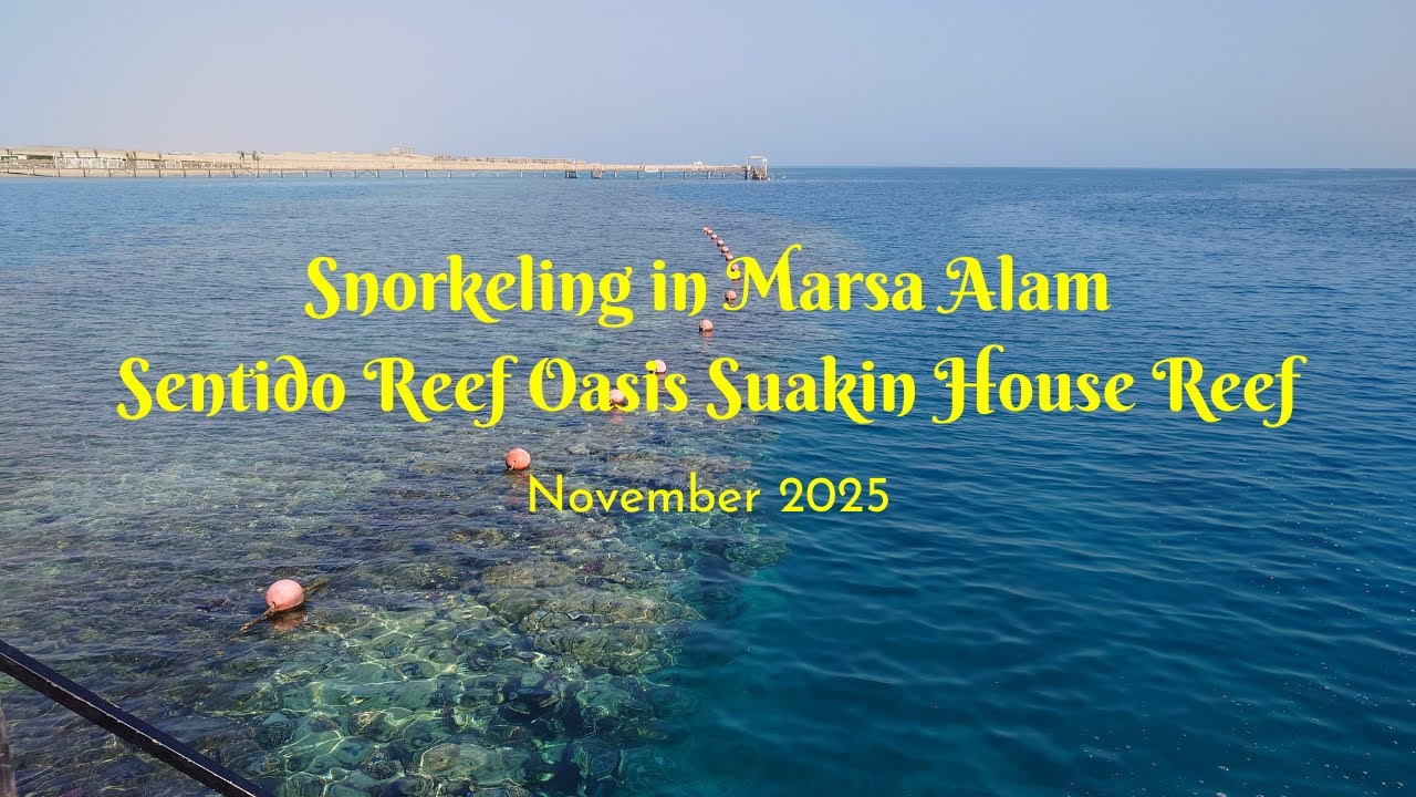 Snorkeling at the Sentido Reef Oasis Suakin in Marsa Alam #egypt #snorkeling #redsea