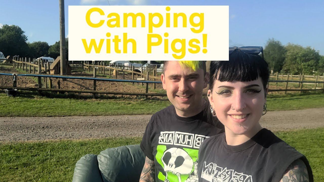 Camping With Pigs!! - The Pig Place, Banbury