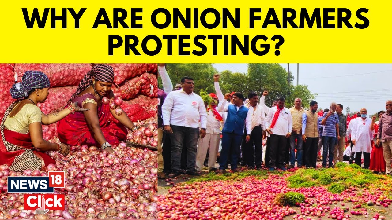 Onion Price Today News | Maharashtra Farmers Protest Against Centre's 40% Duty On Onion Export |N18V