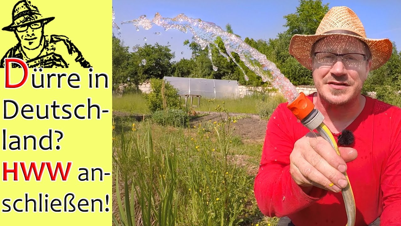 Achtung: Dürre 2019 in Deutschland! So beugt man vor...