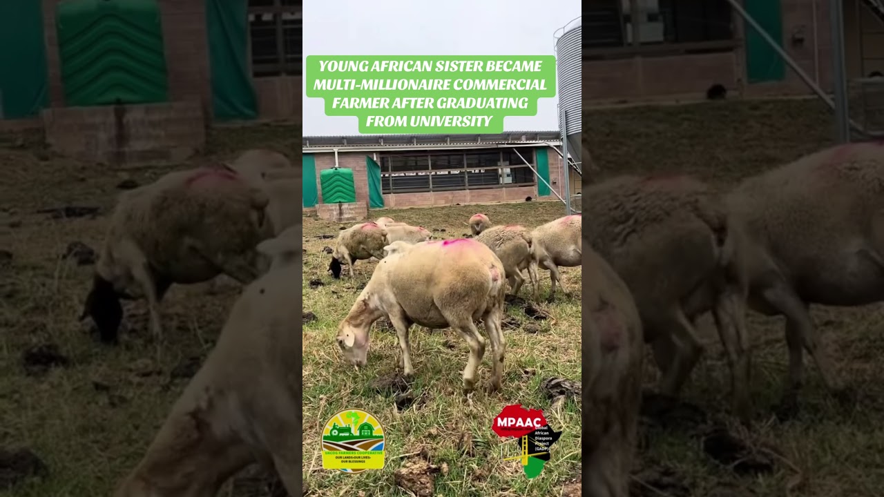 NEW AFRICAN UPPER MIDDLE CLASS EMERGING FROM COMMERCIAL AGRICULTURE.