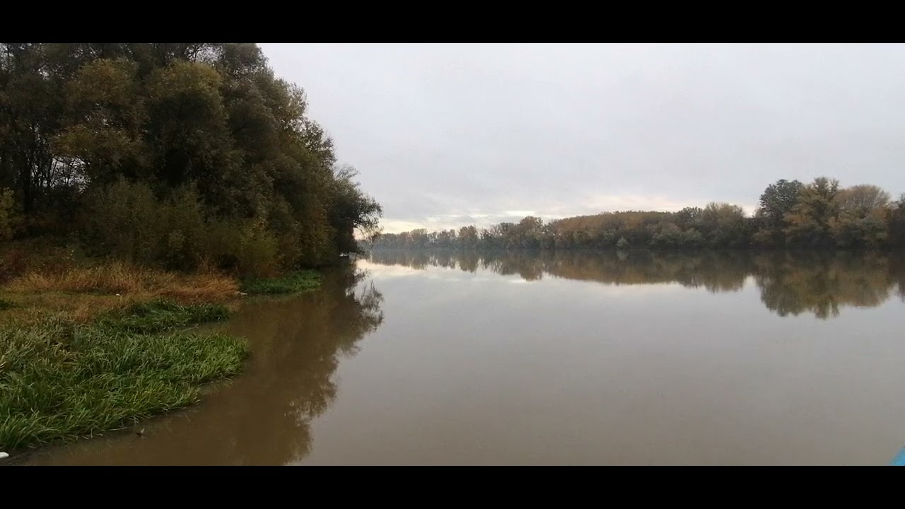 Tisza river 15 november 2023