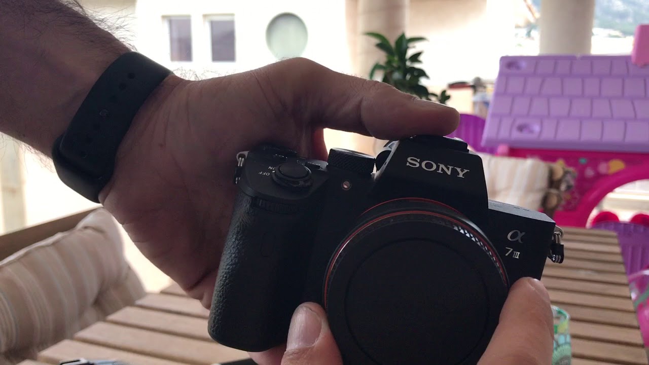 quick autofocus test between sony A99 & A7III + adapter La-EA4