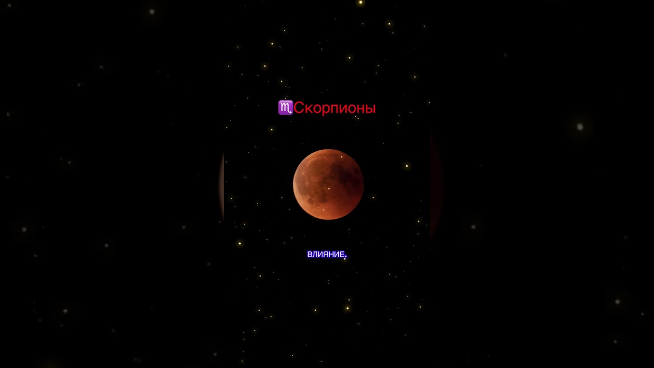 3 марта 2026 г.