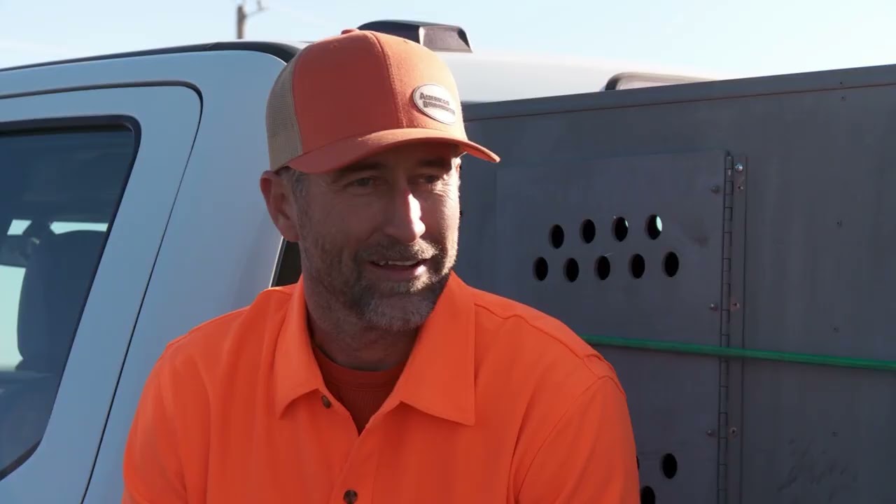 Pheasant Action Turns On Fast! | &ldquo;When The Light Comes On&rdquo; | American Birdhunter