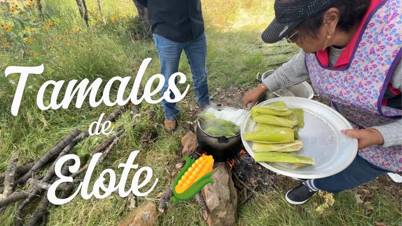 De la Sierra a la Mesa: Preparando Tamales de Elote Tradicionales 🫔🌽