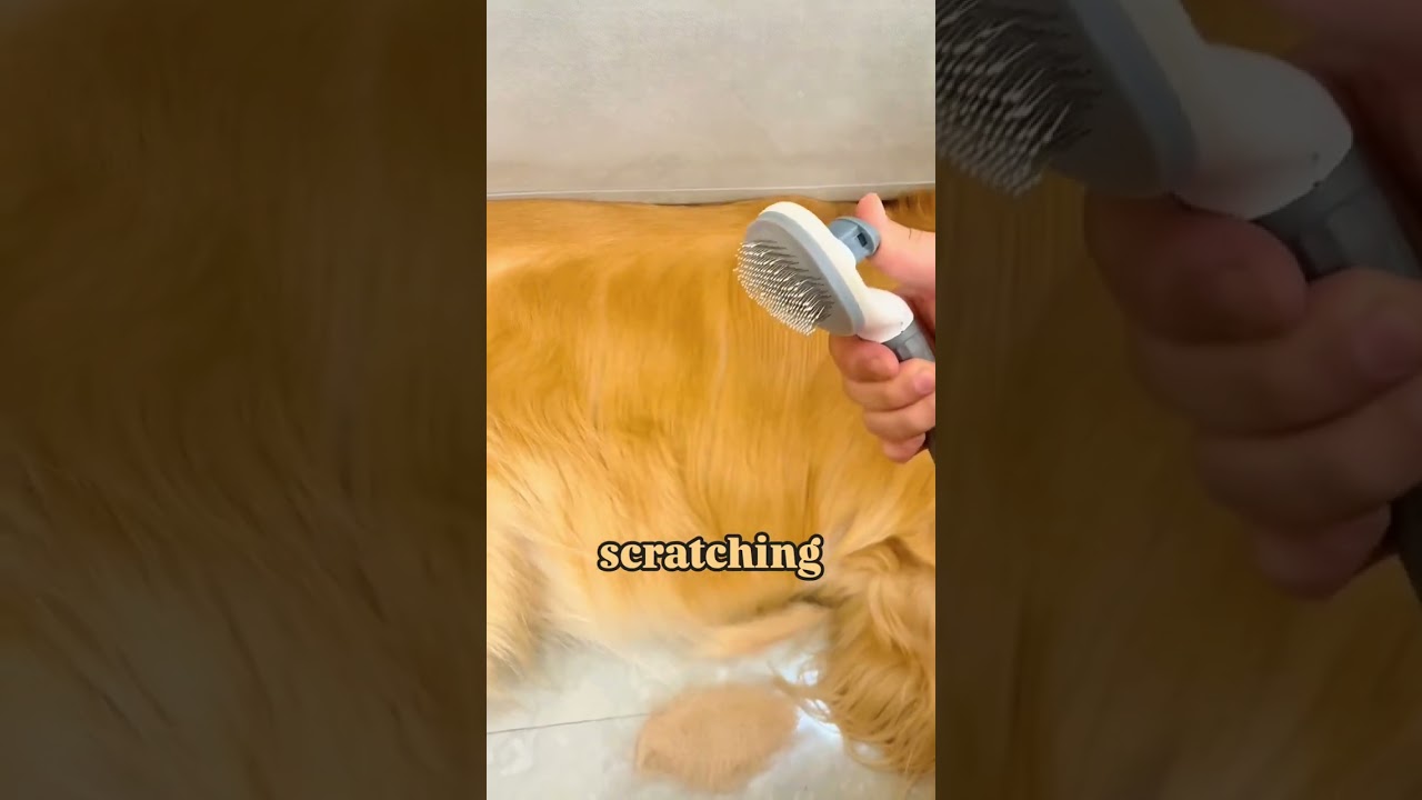 Self Cleaning Pet Grooming Brush UK  Dog & Cat Hair Removal Comb, Skin Friendly DE shedding Tool UK