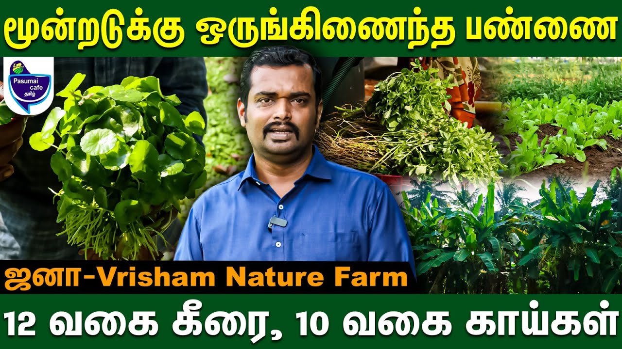 நல்ல உணவு கொடுக்கிறதுதான் என்னோட கர்மா - ஜனா, Vrisham Organic Farm  #greens #vegetables