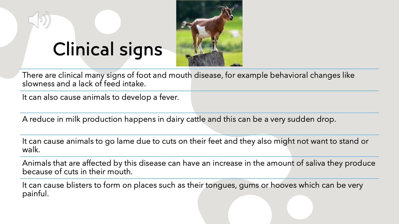 Foot and Mouth Disease in Animals