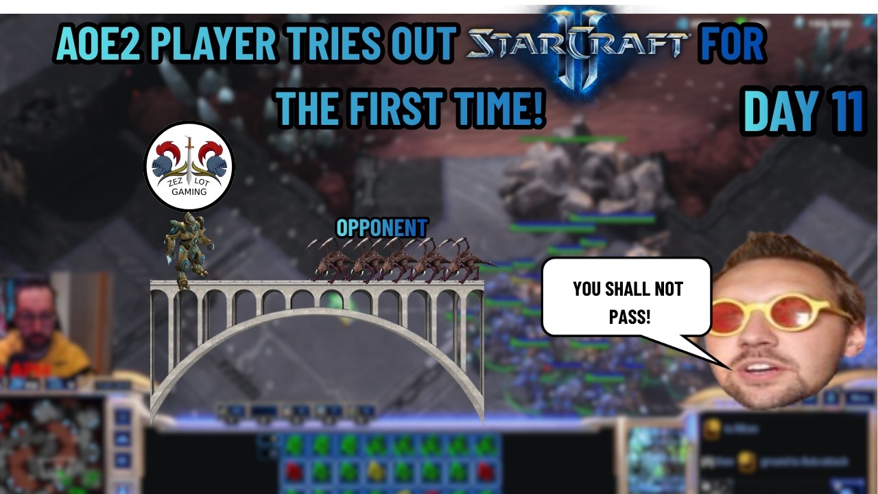 Aoe 2 player tries out SC2! I DAY 11 I Zerlings Raining from the sky!