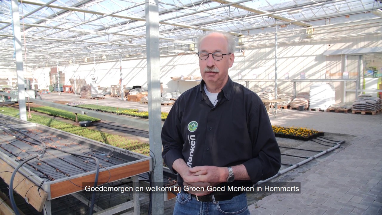 Wat doen wij op onze plantenkwekerij?