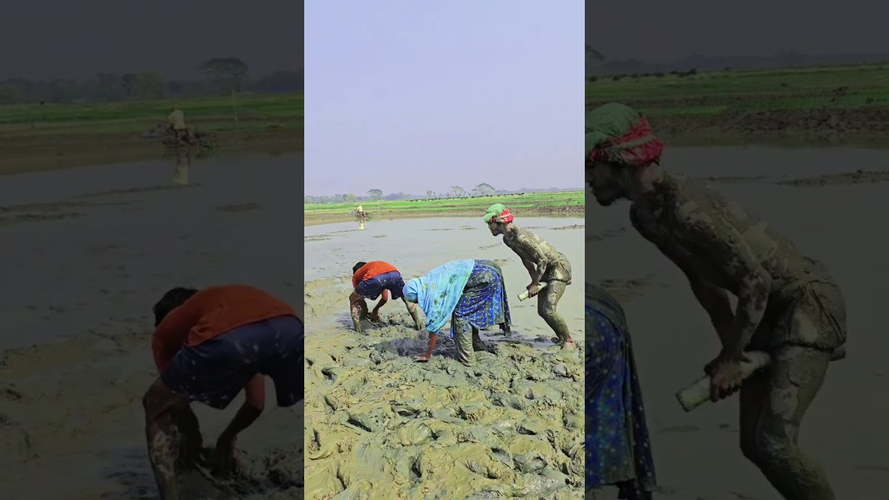 এমন টা করে কেন