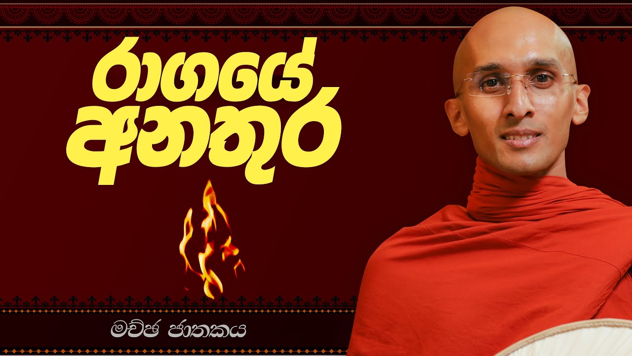34. රාගයේ අනතුර (මච්ඡ ජාතකය) | නුවණ වැඩෙන බෝසත් කථා | 2023-06-06