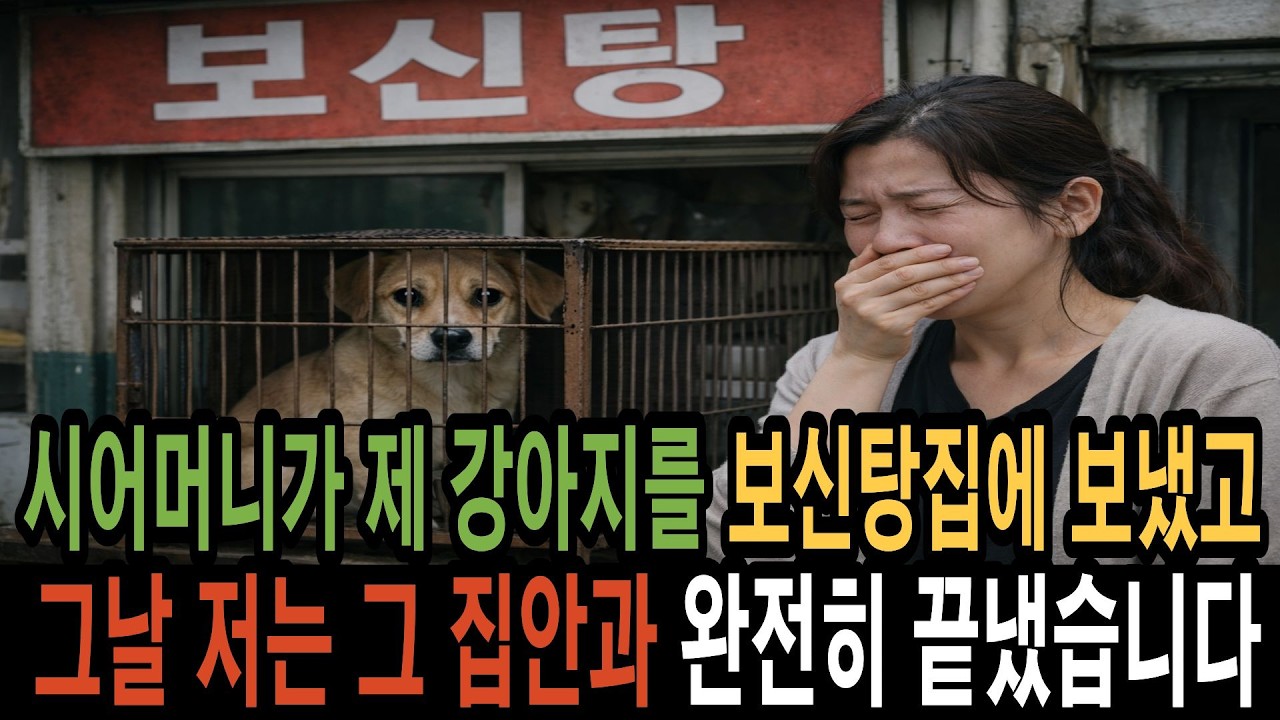 시어머니가 제 강아지를 보신탕집에 보냈고 그날 저는 그 집안과 완전히 끝냈습니다.