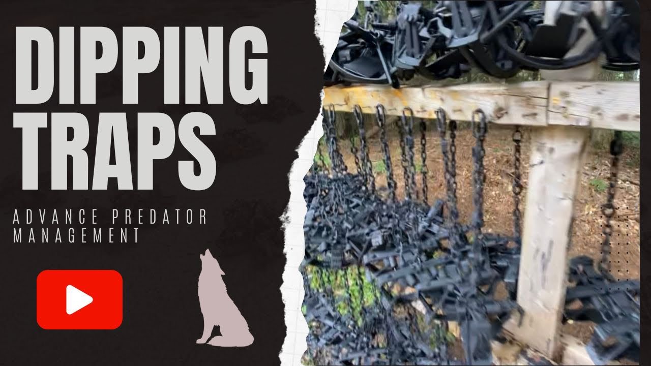 Dipping that traps with Rustoleum and Acetone #trapping #trapprep #trapper #duketraps