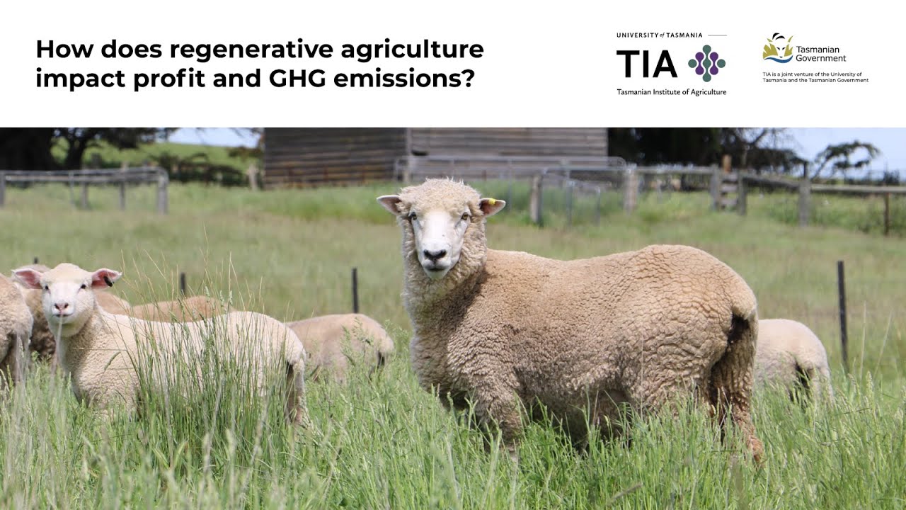 TIA Future Forum: How does regenerative agriculture impact profit and greenhouse gas emissions