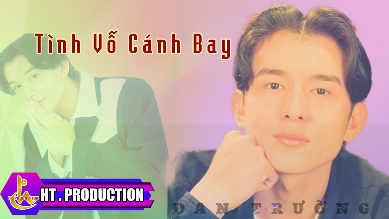 TÌNH VỖ CÁNH BAY || ĐAN TRƯỜNG