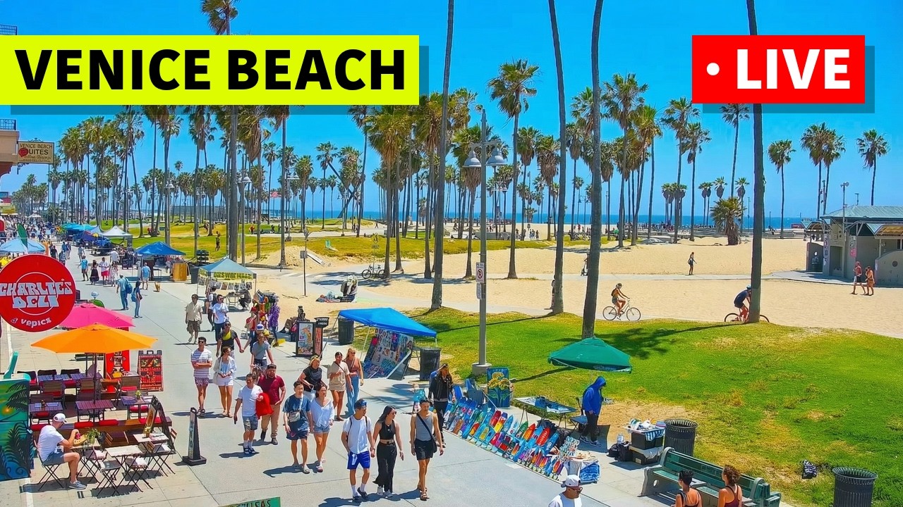 🔴 Los Angeles Live Cam &middot; Venice Beach &middot; Venice V Hotel &middot; Live Camera Stream