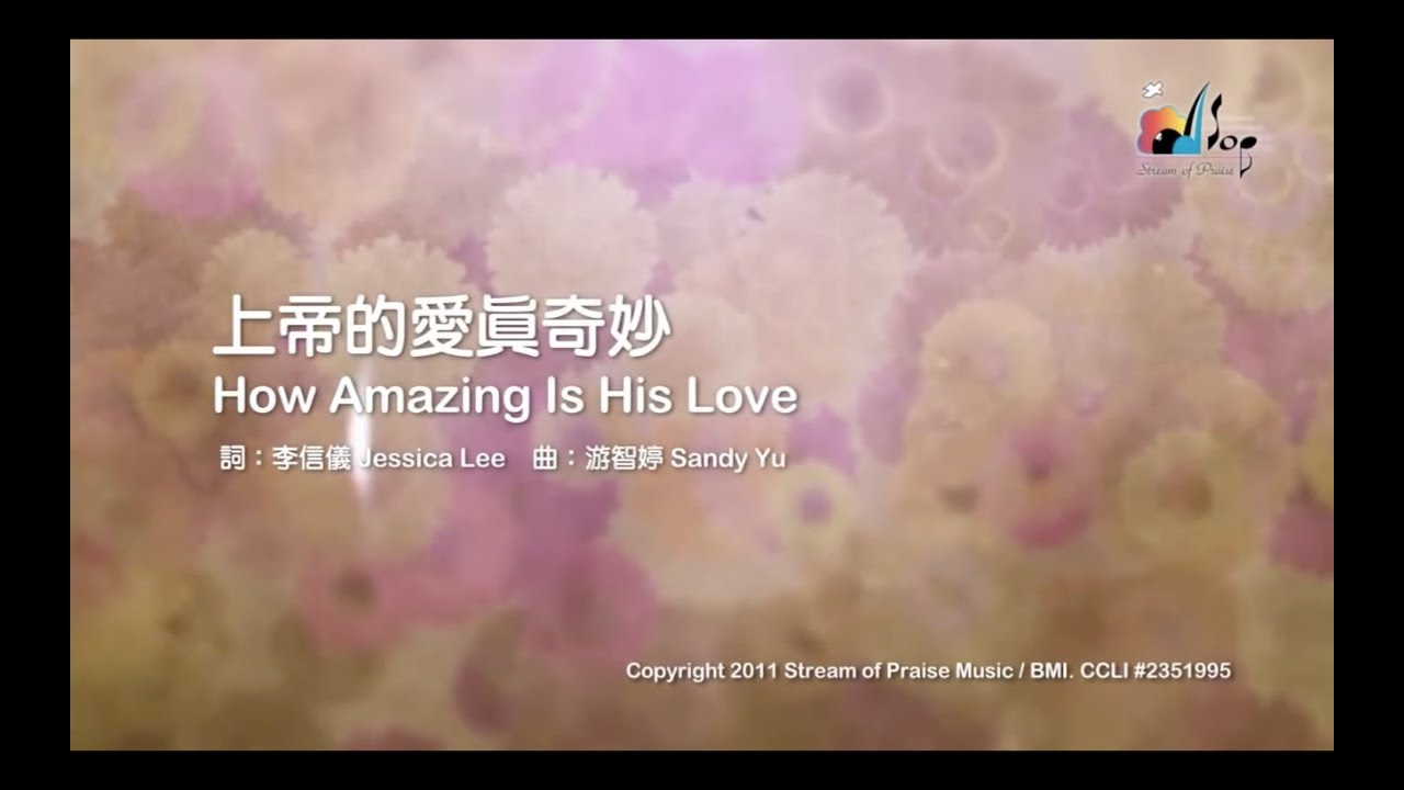 【上帝的愛真奇妙 How Amazing Is His Love】官方歌詞版MV (Official Lyrics MV) - 讚美之泉敬拜讚美 (16)