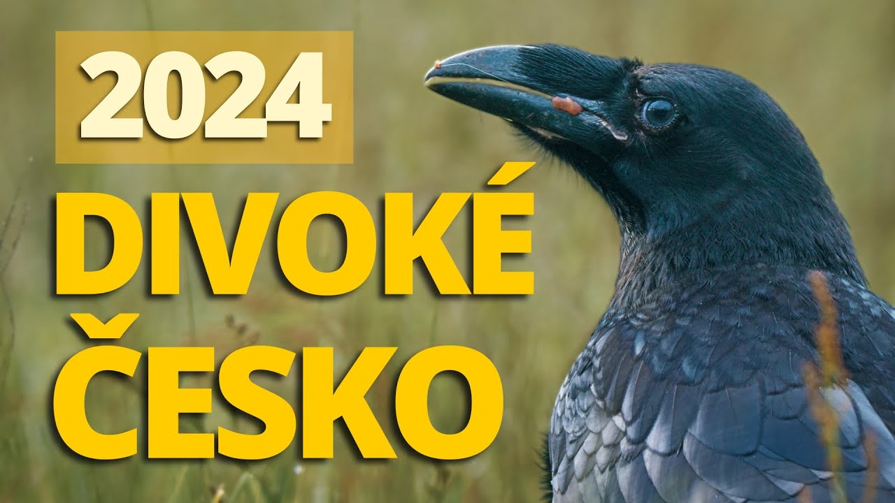 Nejlepší záběry z české přírody / 2024