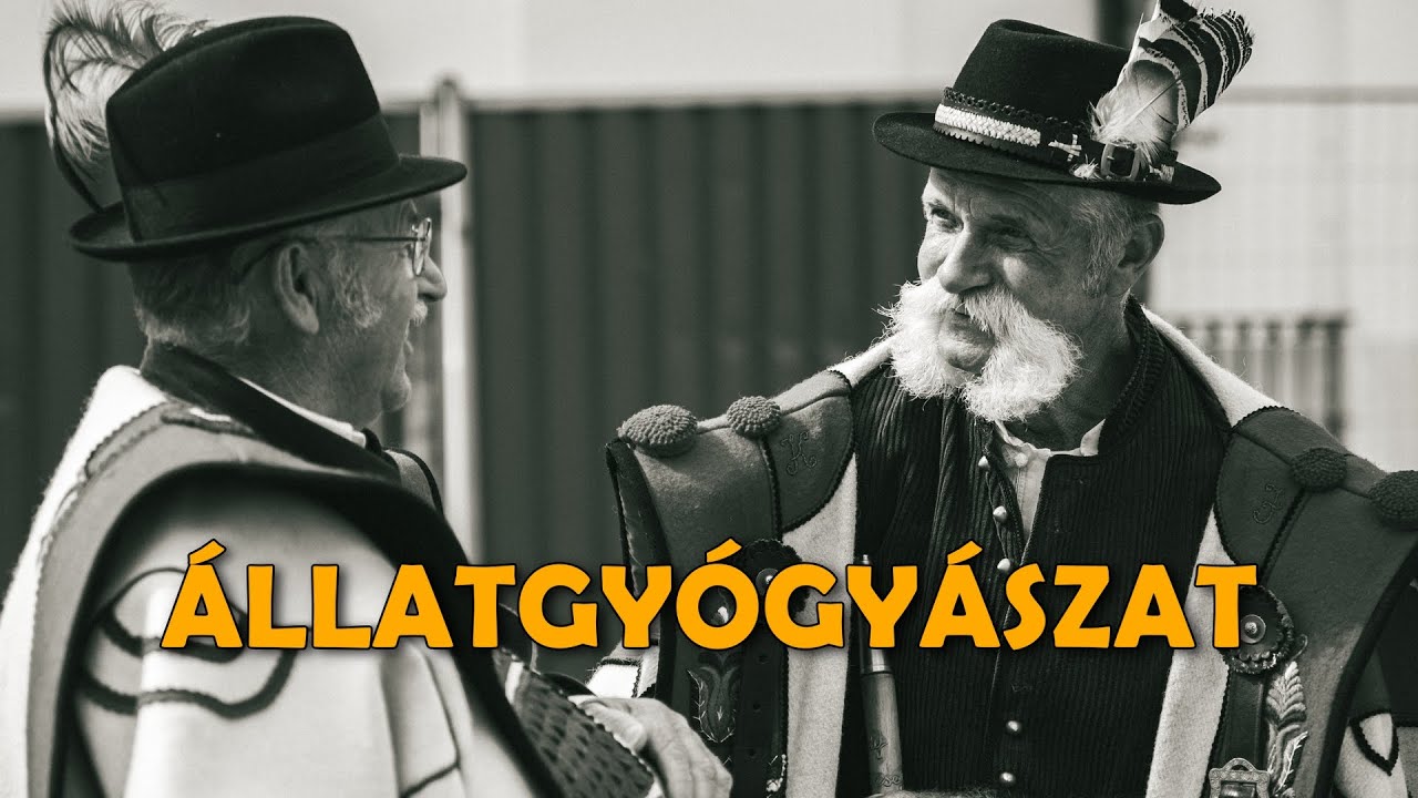 Sósav, bagó, porcukor: Így is gyógyítottak régen a pásztorok | Pásztorok a Bakonyból (4. rész)
