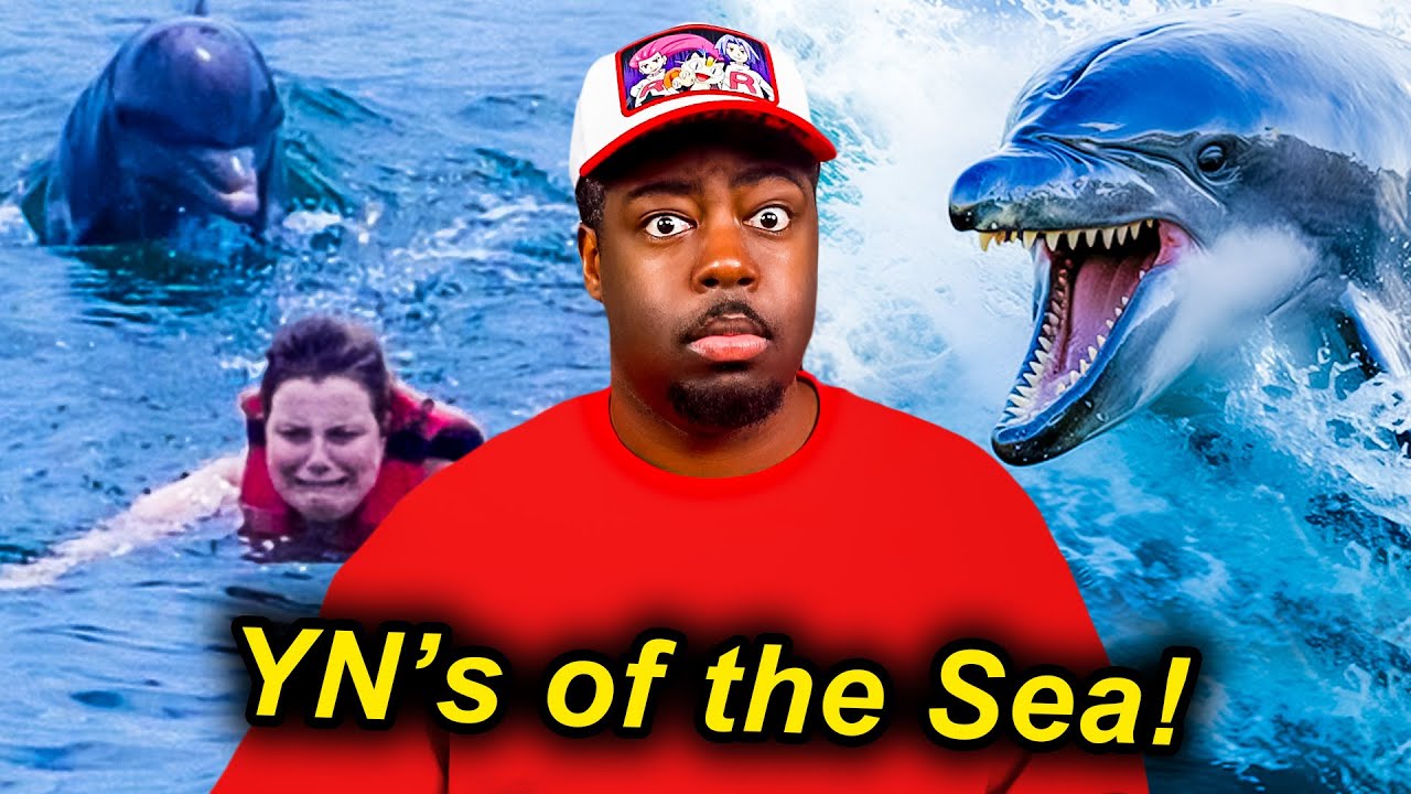 DOLPHINS = 