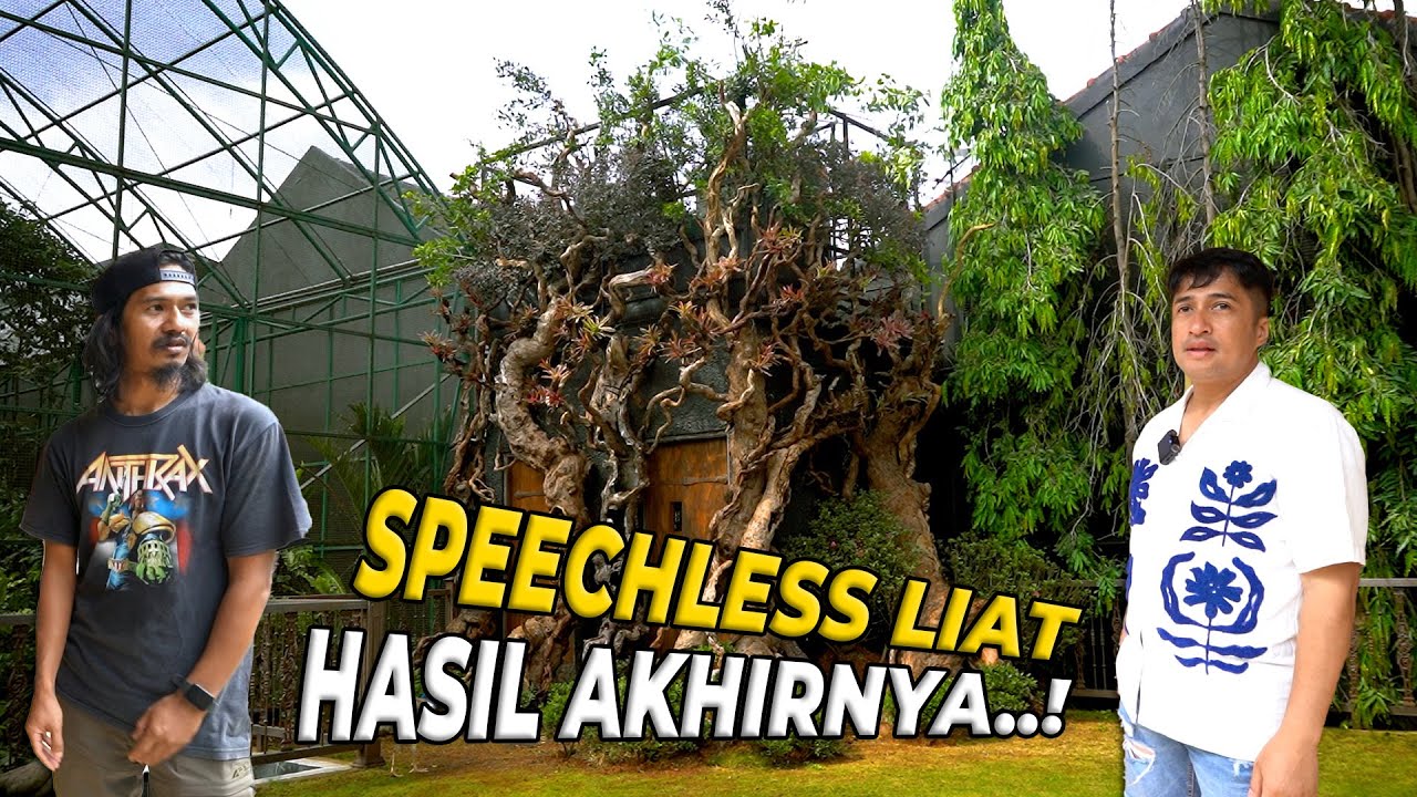 #137 PENDOPO | HASIL AKHIR TOREN PENDOPO DILUAR EKSPEKTASI GW..! TORENNYA FIX HILANG..!