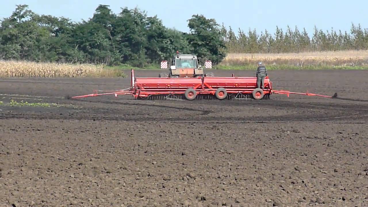 The beginning of the sowing of wheat Agroszolteknél. Fiat 180-90 IH 6200 + affiliated.