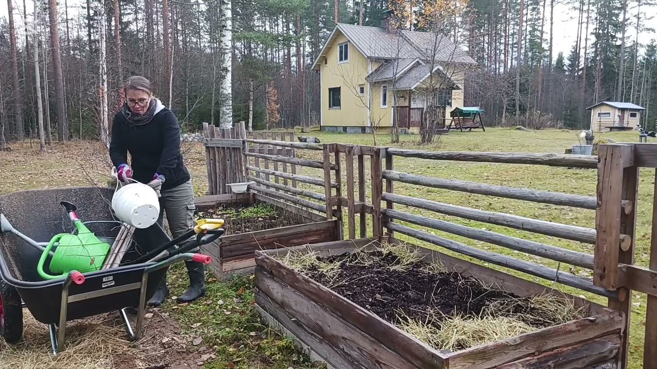 1. Vuosi Metsäpihassa: syväanalyysia ja talveen valmistautumista