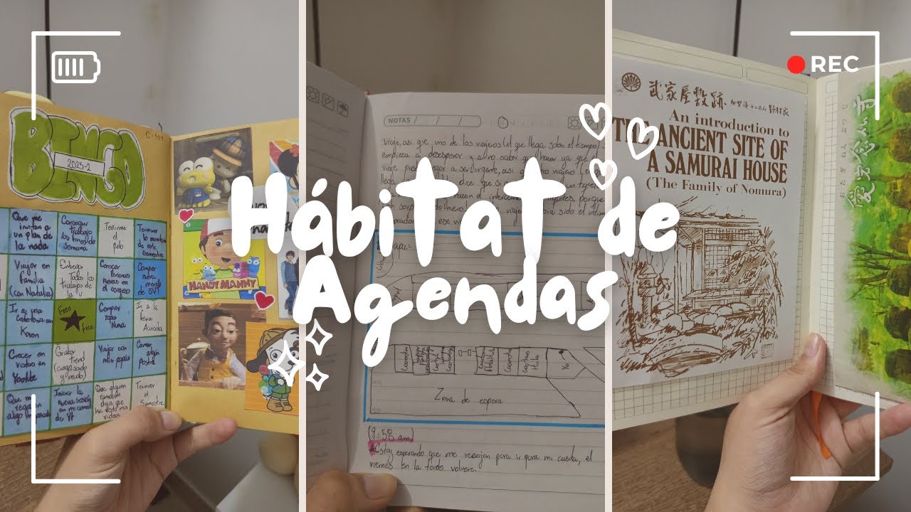 Te muestro mi habitat de agendas 🧑‍🦯 - Random