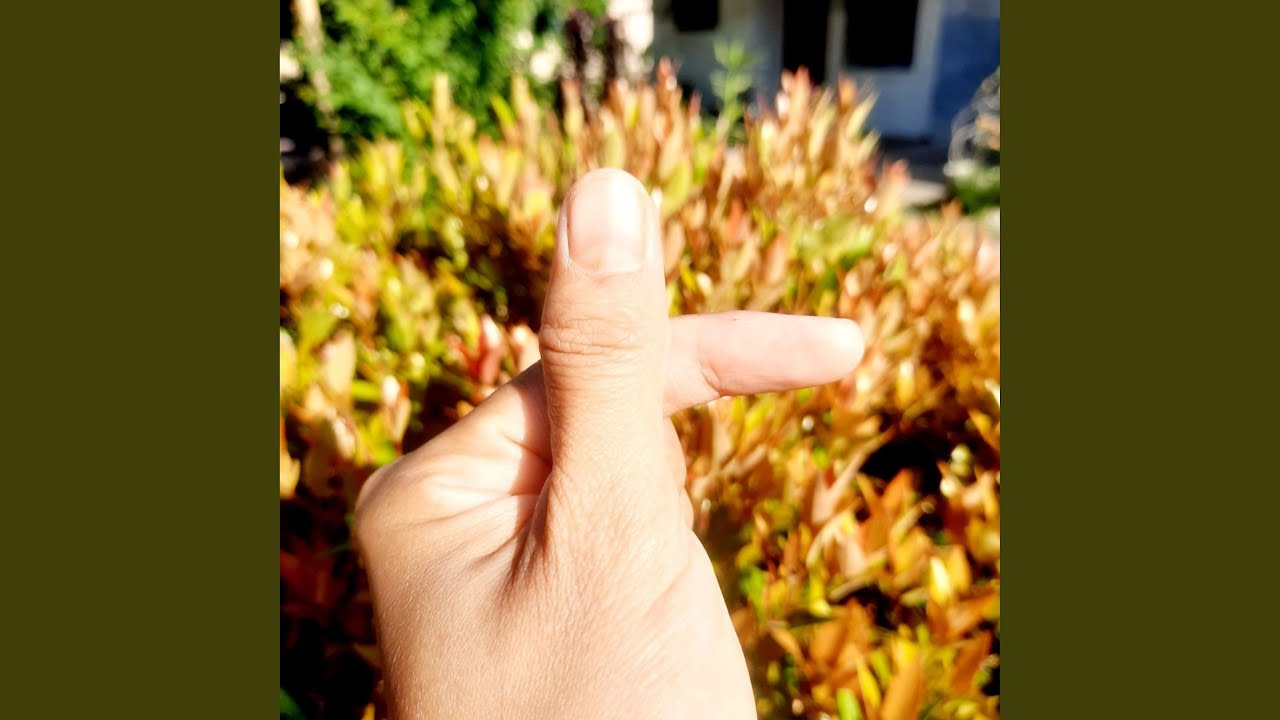 Hidup Dengan Upah Minimum