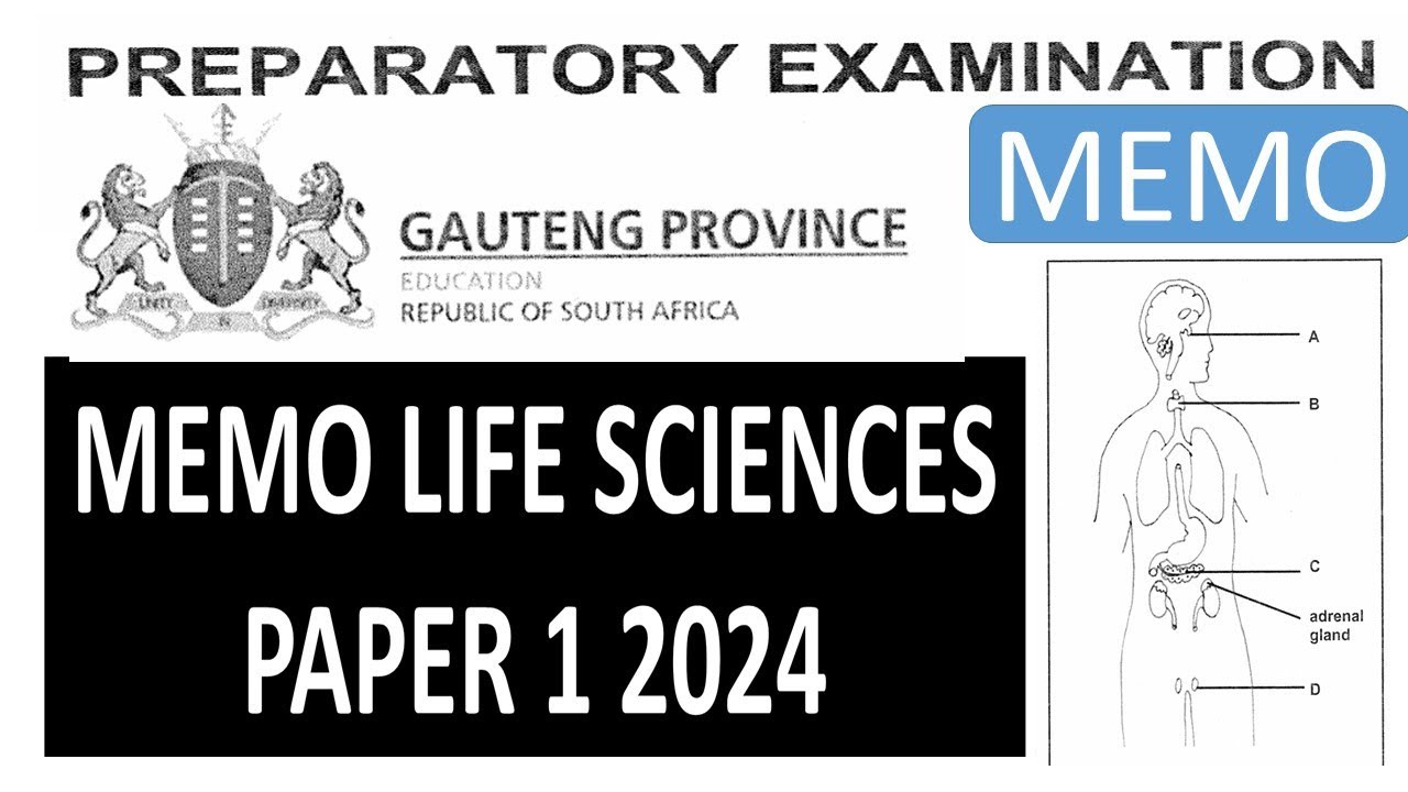 2024  MEMO LIFE SCIENCES P.1  GRADE 12 PRELIME EXAM GAUTENG  PROVINCE[THUNDEREDUC] BY M.SAIDI