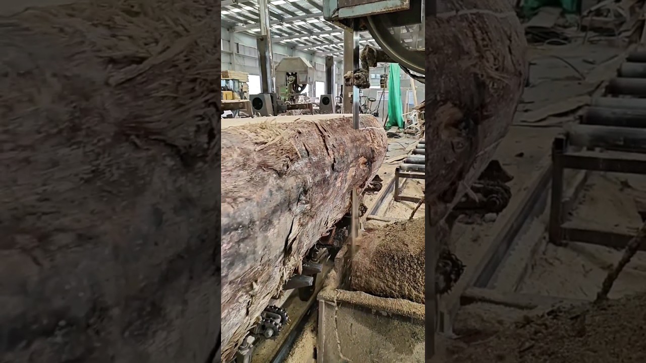 Packaging wood strips manufacturing process #woodworking