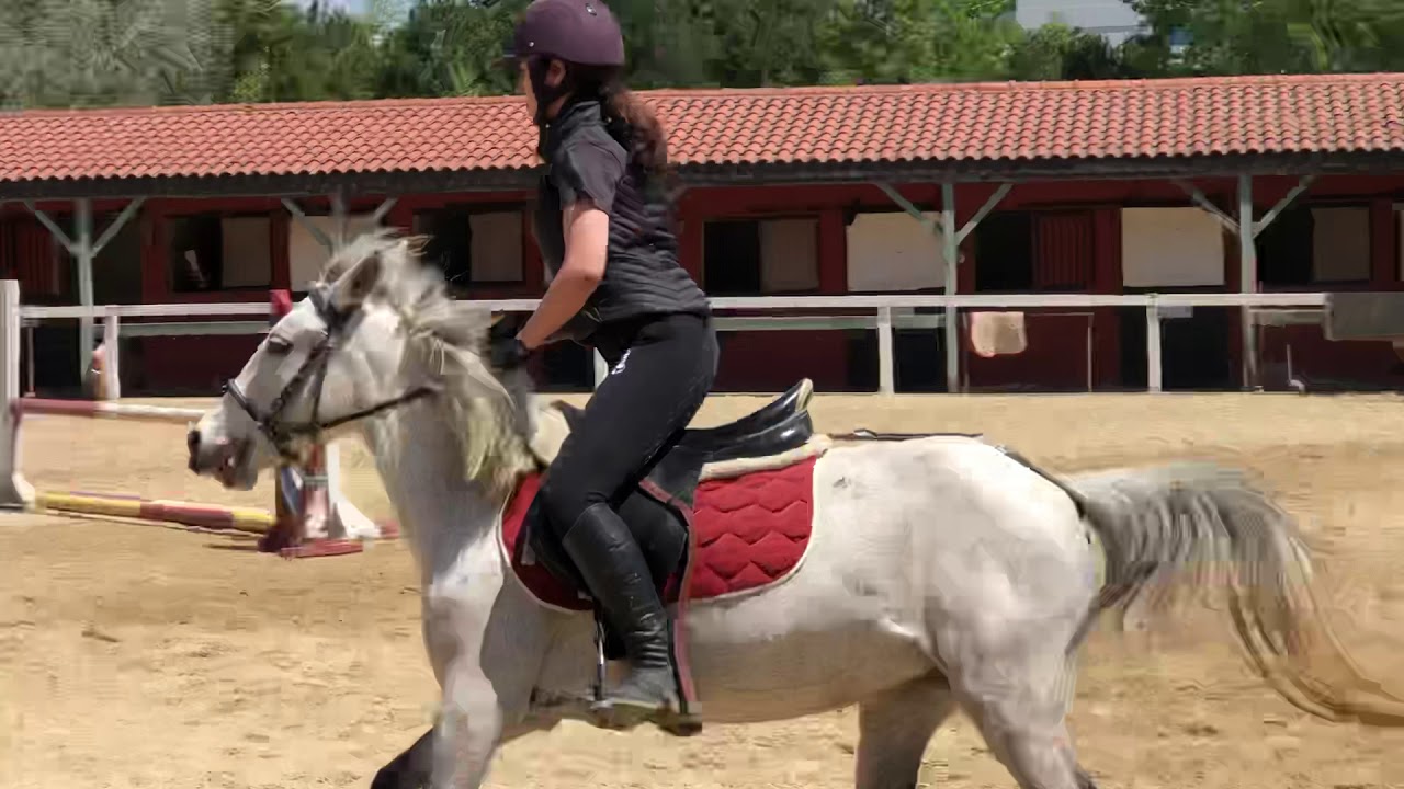Mustafa Siyok Equifun ve Pony 1.ders