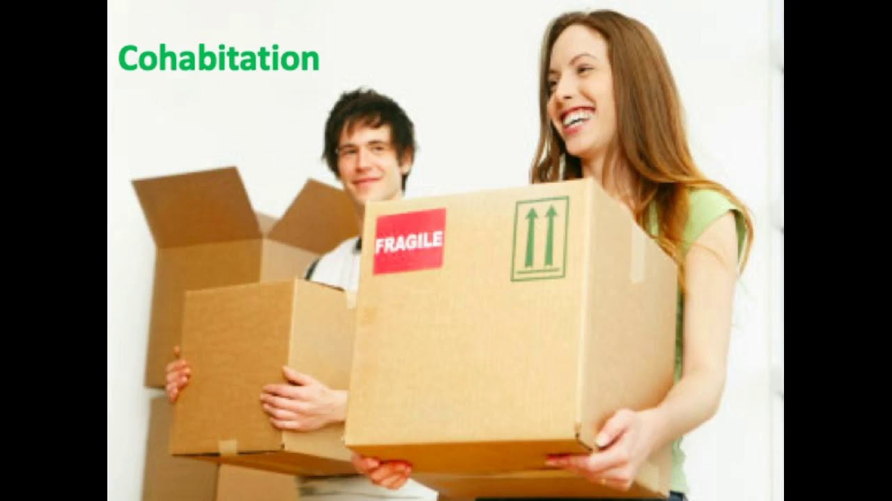 Diverse Relationships Remmarriage, Cohabitation, LDR