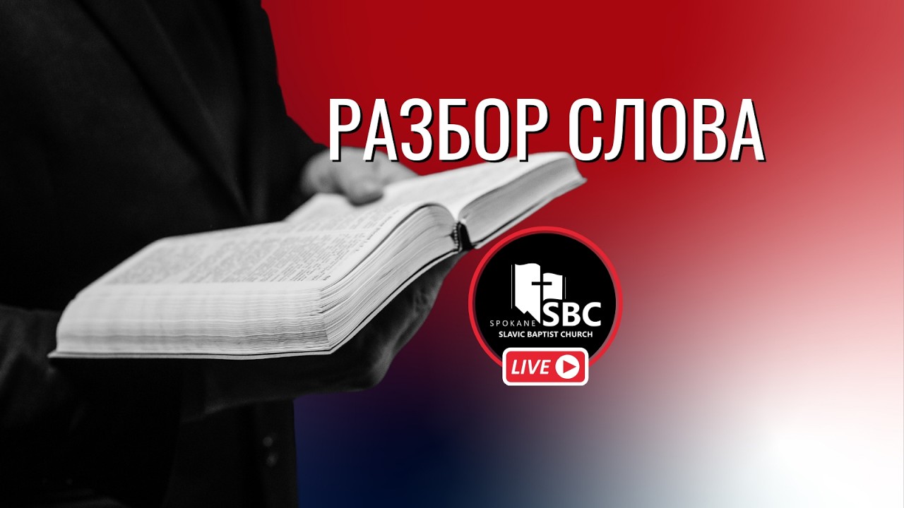 18 Февраля 2026 | Разбор Слова