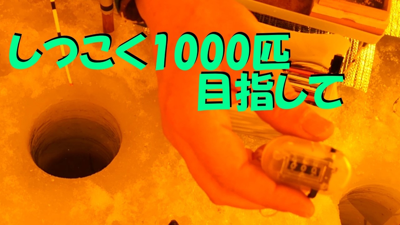 かなやま湖　ワカサギ釣り　今度こそと1000匹達成