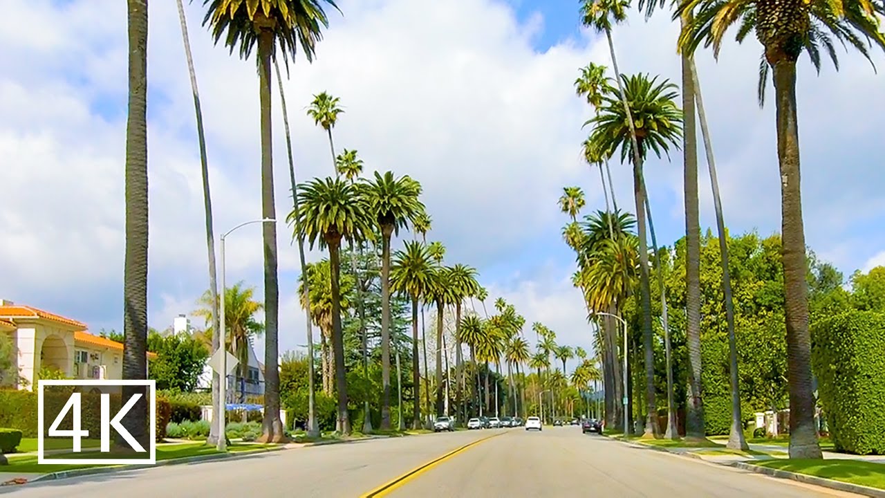 [4K] Palm Tree Lined Streets in Beverly Hills - Beverly Dr