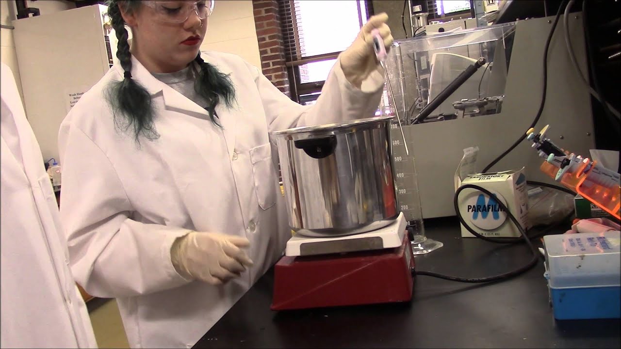 Enzymatic Hydrolysis Instructional Video