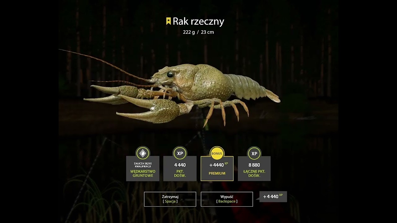 Russian Fishing 4 Freshwater Crayfish TROPHY Rak Rzeczny - Winding Rivulet