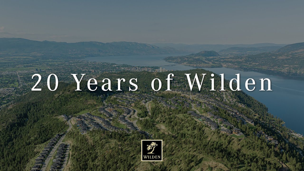 20 Years of Wilden