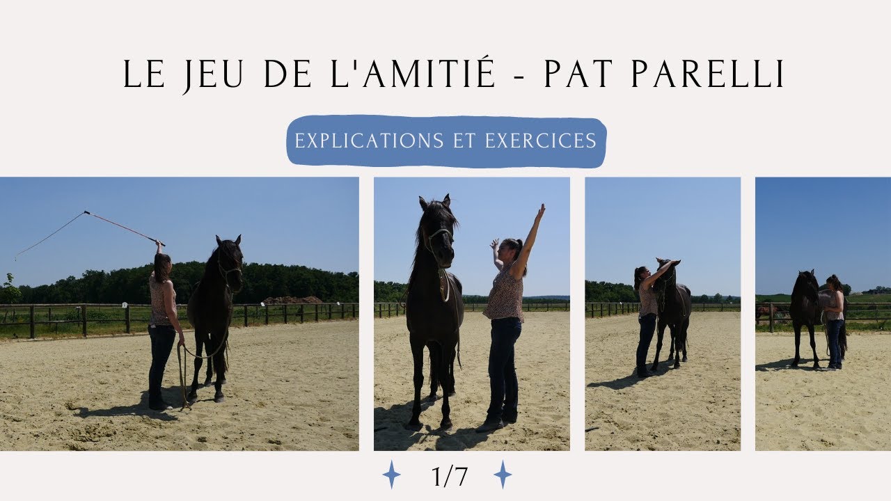 Le jeu de l'amitié - Pat Parelli - 1/7