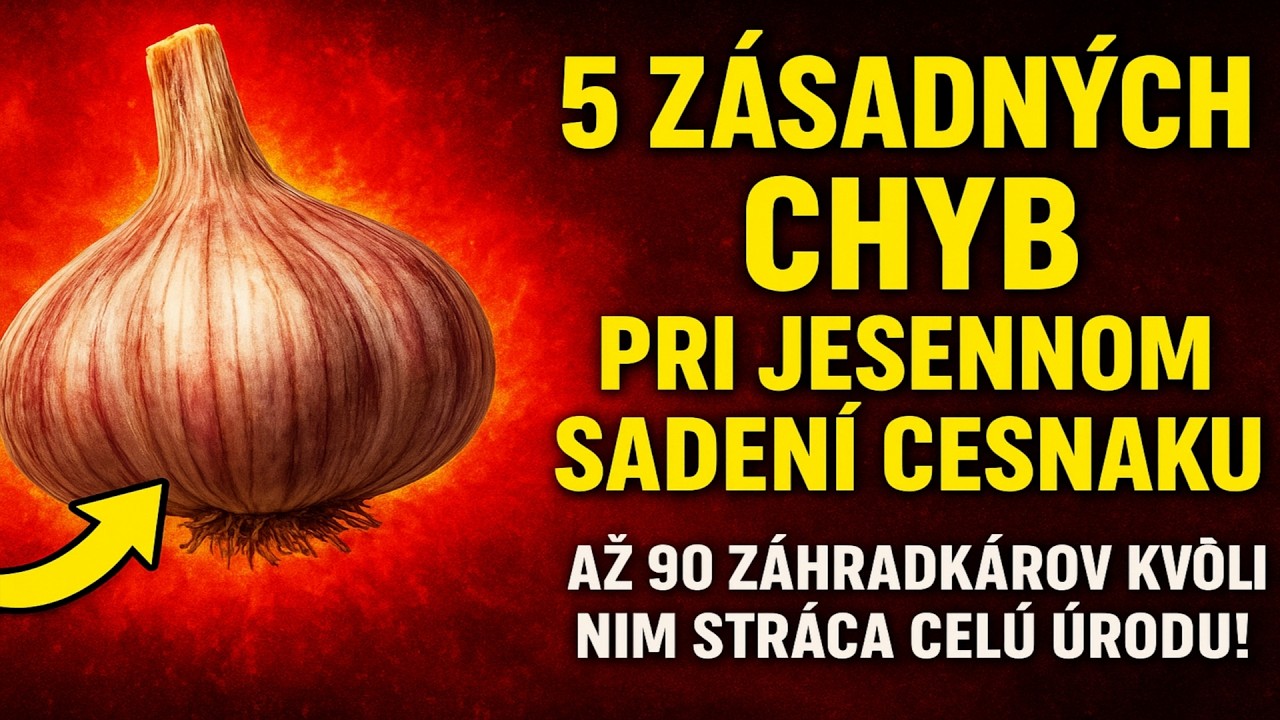 5 ZÁSADNÝCH CHÝB pri jesennom sadení cesnaku. Až 90% záhradkárov kvôli nim stráca celú úrodu!
